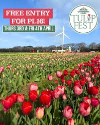 Strawberry Fields Farm Shop