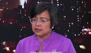 James Domingo shows off Star Magic 'alaga'