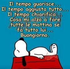 Buongiorno Citazioni Divertenti Citazioni Umoristiche Citazioni Ironiche
