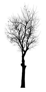 See more ideas about black and white tree, black and white, tree print. Black Tree Vector Svg Png Onlygfx Com