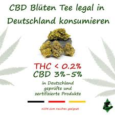 In vier jahren sei cannabis legal. Pin Auf Cbd Info