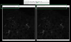 We did not find results for: 9thhybztitgijm