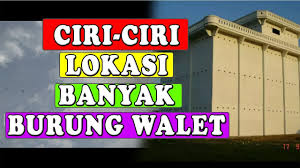 Perincian di atas merupakan gambaran perhitungan rab pembuatan gedung walet minimalis 4x8 3 lantai dengan biaya material yang bersifat umum. Lokasi Yang Cocok Membangun Rumah Walet By Fandi89 Channel