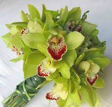 Maybe you would like to learn more about one of these? Pin On January Wedding