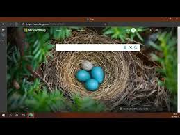 Get out your pencil and try these puzzles for all levels. Video Bing News