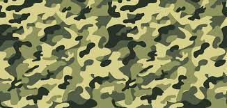 If you're looking for the best camo background then wallpapertag is the place to be. 54 Free Army Camo Wallpaper On Wallpapersafari