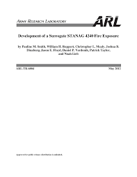 Development of a Surrogate STANAG 4240 Fire Exposure