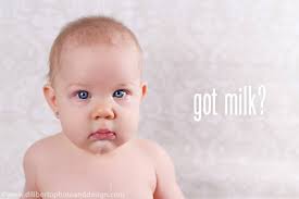 Diliberto Photo and Design