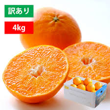 ミヤモトオレンジガーデン