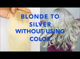 Blonde To Silver Hair Without Using Color Fanola No Yellow Shampoo