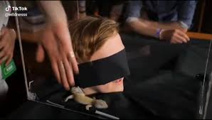 Даня молодые - BEST XXX TUBE