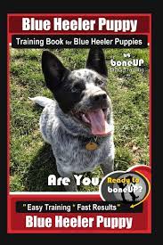 The blue heeler training information you will read here was developed by a panel of renowned dog training experts sign up for our free mini course meant specifically for puppies. Blue Heeler Puppy Training Book For Blue Heeler Puppies By Boneup Dog Training Are You Ready To Bone Up Easy Steps Fast Results Blue Heeler Puppy Kane Karen Douglas 9781093502091 Amazon Com