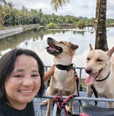 Beautiful yellow flowers ❤️