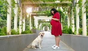 Obviously when talking about finding gigs near you, you have to mention craigslist. Lights Camera Wag Pet Photography Is Catching On In India Hindustan Times