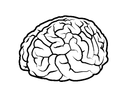 Color in this picture of human brain and share it with image tags: Brain Coloring Page Coloringcrew Com