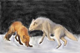 I considered this art as my best artwork because when i posted it on instagram, 15 the art that i created is the fox and wolf art. The Fox Vs The Wolf Round 3 By Scyllathekelpie On Deviantart