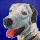 Paint YOUR Pet w/ Help From Our Artists event image