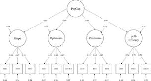 Maybe you were looking for one of these abbreviations Measuring Psychological Capital Construction And Validation Of The Compound Psycap Scale Cpc 12