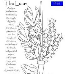 Find more original art seven species symbolize the close relationship between god and israel. 160 Feast Of Tabernacles Ideas Feast Of Tabernacles Tabernacle Wedding Decorations