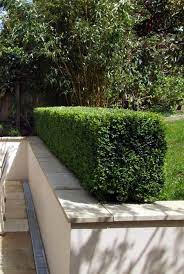 10 Ways To Design Hedging And Topiary In A Modern Garden Landscaping Retaining Walls Garden Hedge Garden Retaining Wall