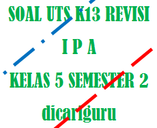 Mata pelajaran plh kelas 5 semester 1. Soal Uts Pts Ipa Kelas 5 Semester 2 Dicariguru Com