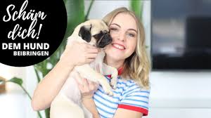 Indem sie bunte fliegenköder selber machen, puffern sie die unansehnliche wirkung ein wenig ab, wenn sich im laufe der zeit zahlreiche fliegenleichen im ausreichenden abstand zum haus lassen sie die fliegen frei. Fliegen Mit Hund Hundelogie