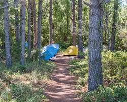 Great island cabin camp nc. Cape Lookout National Seashore Outerbanks Com