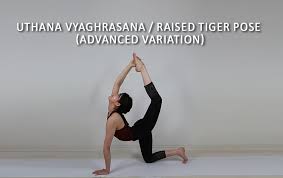 Uthana Vyaghrasana Raised Tiger Pose Advanced Variation Asana International Yoga Journal Yoga Journal Poses Asana