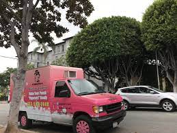 Are you looking for dog and cat grooming services near you? Dog Groomers Near Me Prices