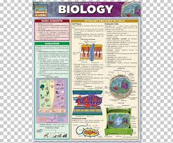 Biology The Basic Principles Of Biology Study Skills Bar