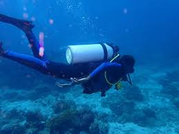 Blue Economy Massive Open Online Course