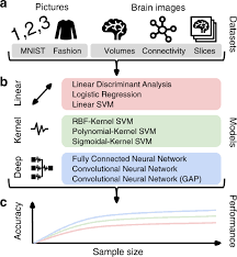 In algorithms unlocked, thomas cormen—coauthor of the leading college textbook on the subject—provides a general explanation, with limited mathematics, of how algorithms enable computers to solve problems. Different Scaling Of Linear Models And Deep Learning In Ukbiobank Brain Images Versus Machine Learning Datasets Nature Communications