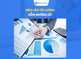 Báo cáo tài chính gồm những gì? Thời hạn lập báo cáo tài chính