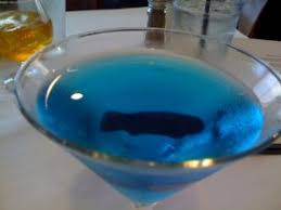 Image result for Blue Cosmo 2008 146