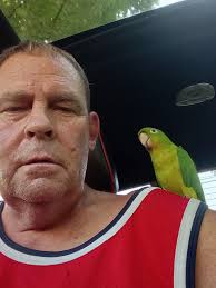 Found bird in Greenwood Indiana