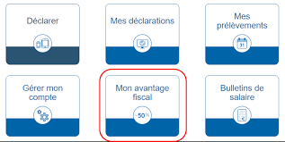 Nouveau Site Du Cesu 3 Innovations Tres Utiles A Decouvrir Pour Votre Declaration Mensuelle Particulier Employeur Zen