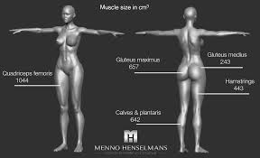 The large, broad muscle in the chest that flexes and adducts t… Should You Train Large Muscles Differently Than Small Muscles