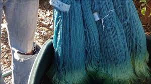 Indigo Dyeing Full Video Youtube