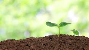 Visit ocala health to learn more about rajnikant b patel md, family medicine, in ocala, fl. B Healthy Home Facebook