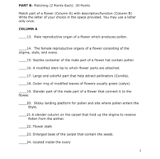We did not find results for: Match Part B To Part A This Is A Flower Related Chegg Com