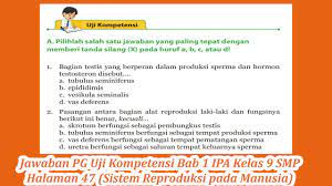 Klik pada tautan berikut ini (menuju semilyar pengguna, bersama kita bisa membeli kembali indonesia) 1. Jawaban Pg Uji Kompetensi Bab 1 Ipa Kelas 9 Smp Halaman 47 Youtube