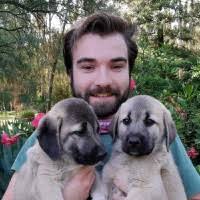 1000+ "Kewley" profiles