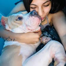 Lost Pet HAVOC Found in California