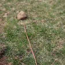 Work a garden fork into the floor of the trench, and loosen the soil by tilling this layer too. How To Dig A Garden By Hand Salt In My Coffee