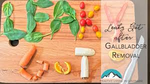 Patients with gallstones must refrain food to eat when suffering from gallstones. What Is Leaky Gut Diet After Gallbladder Removal Healthy Living In Colorado Llc