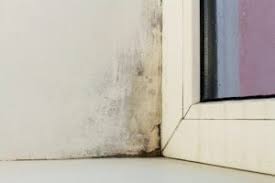 L'idéal est de vous équiper de vinaigre blanc. Moisissure Sur Les Murs Les Causes Et Comment L Enlever