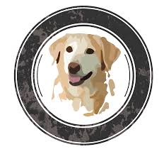 Labrador retrievers have come to known as lab fondly over time. Sunfire Labradors