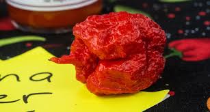 Would you die instantly in lava? World S Hottest Pepper May Have Triggered This Man S Severe Headaches Science News