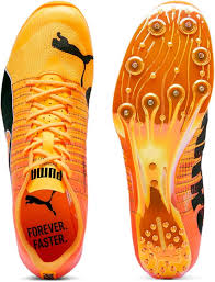 Image result for Puma 40