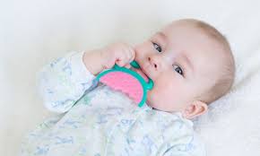 Meist bekommen babys um den 6. Babys Erster Zahn Das Solltest Du Wissen Veilchenwurzel Net